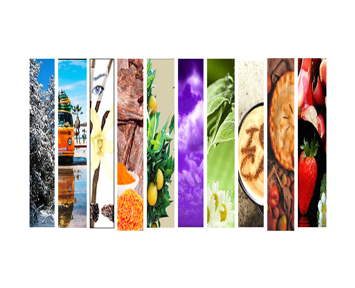 2023 Candle Cocoon Year Round Best Sellers - Sample Set of 10 - 2023 - Candle Cocoon, LLC