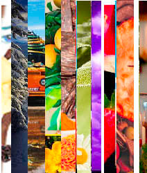 2024 Candle Cocoon Year Round Best Sellers - Sample Set of 10 - Candle Cocoon, LLC