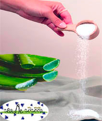 Aloe Vera Juice Powder 200X Organic - Candle Cocoon, LLC