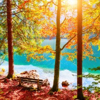 Autumm Lake fragrance oil floral