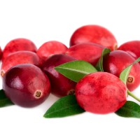 Cranberry citrus fruity vanilla fragrance oil
