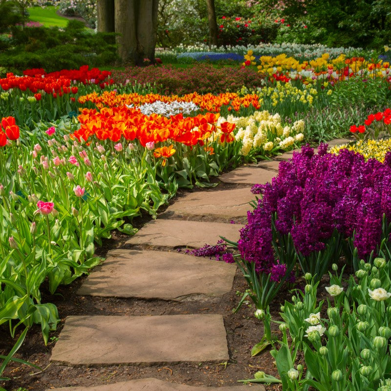 Fresh Garden Air Fragrance Oil