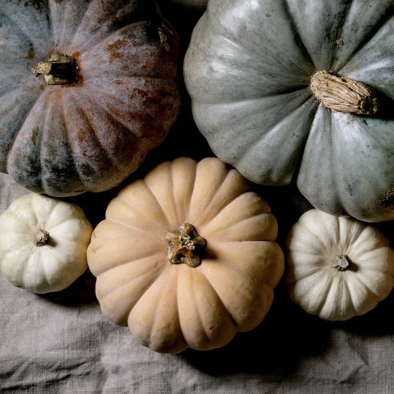 Different colored pumpkins in mahogany, green and orange