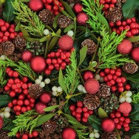 Spruceberry fragrance oils red berries and pinecones