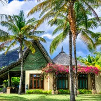 Hut with tropical palm trees and a clear sky smells of joy
