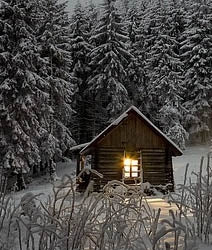 Sugar Shanty™ - candle-cocoon