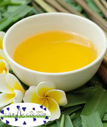 Citronella- Java - Pure Essential Oil - Candle Cocoon, LLC