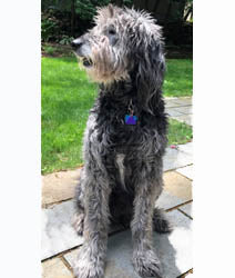 Sam's Favs - Sample Set - Candle Cocoon, LLC