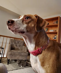 Janna's Favs - Sample Set - Candle Cocoon, LLC