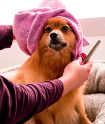 Spa Day - Scent Sample Set - Candle Cocoon, LLC