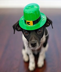 Luck of the Irish - St. Patty's Day Set - Candle Cocoon, LLC