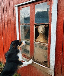 Labor Day - Sample Set - Candle Cocoon, LLC