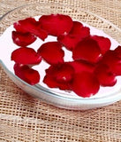 Rose Petals and Cream™ - candle-cocoon