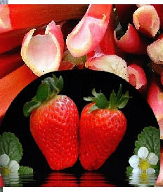 Pieces of strawberry and chunks for rhubarb to depict a fragrance