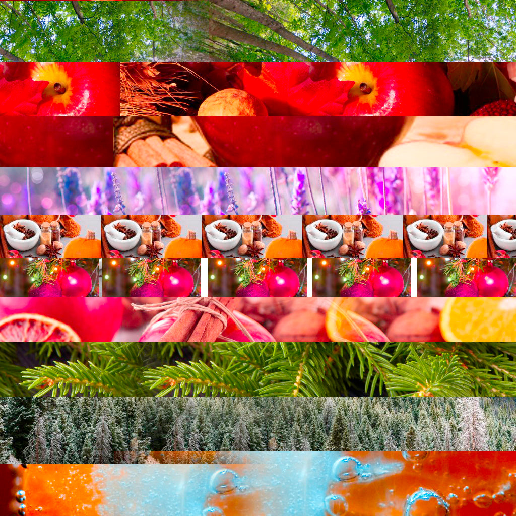 2025 Candle Cocoon and Northstar Year Round Best Selling Fragrance Oils - Sets