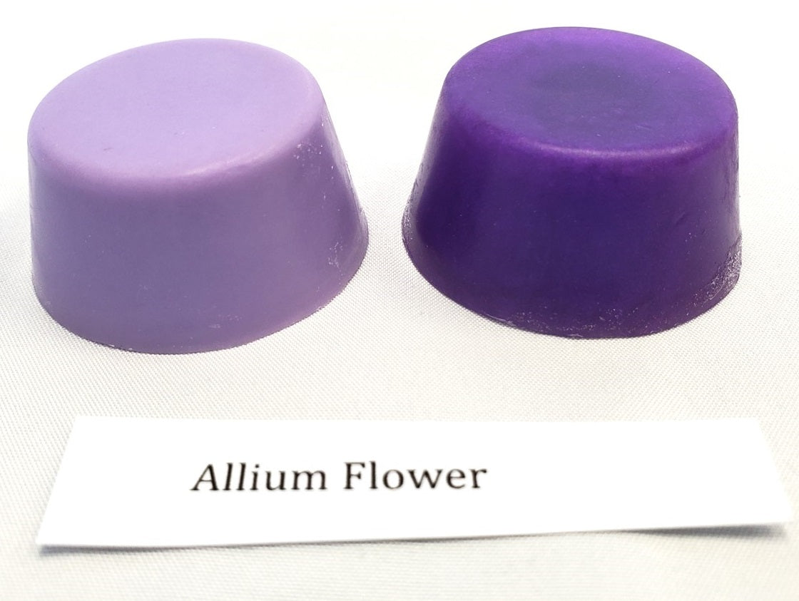 Allium Flower - Mica Powder