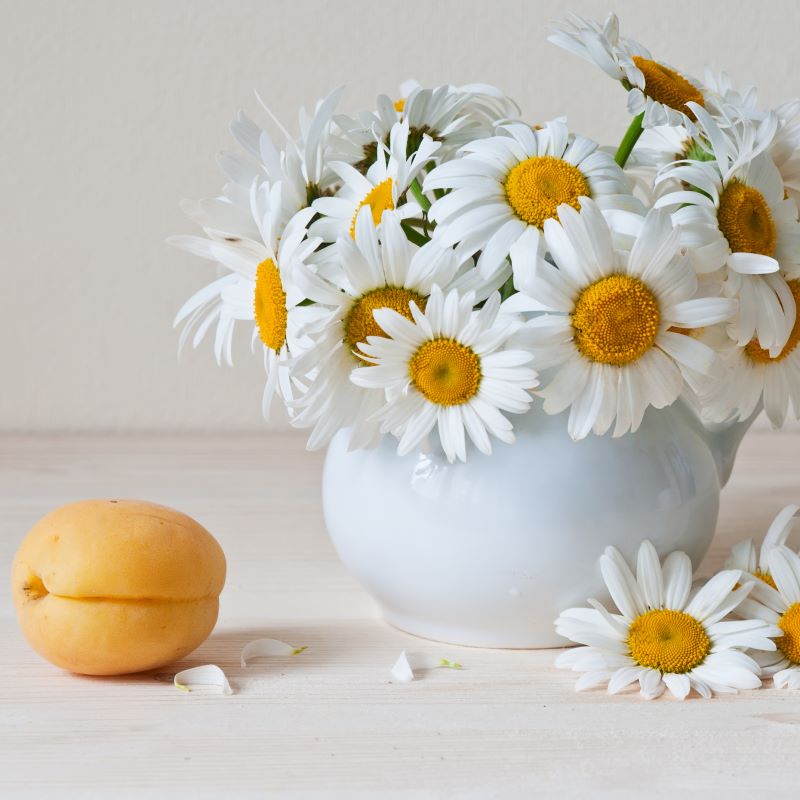 Apricot Chamomile sweet fruity jasmine fragrance oil