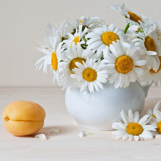 Apricot Chamomile sweet fruity jasmine fragrance oil