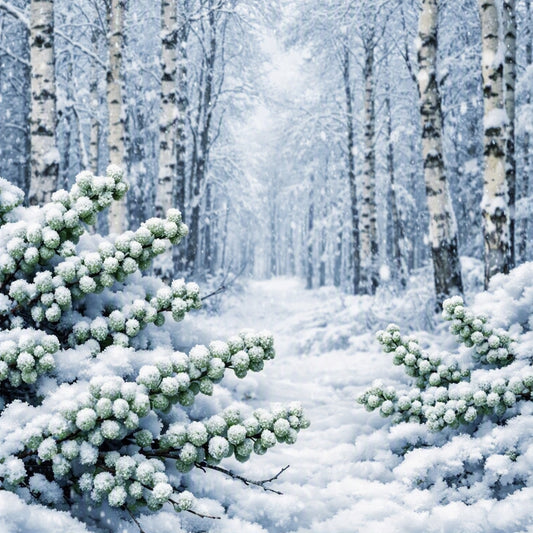 A snowy winter forest scene with birch trees and snow-covered bayberry branches in the foreground, creating a serene white and light-blue landscape to represent Bayberry Birch Fragrance Oil.