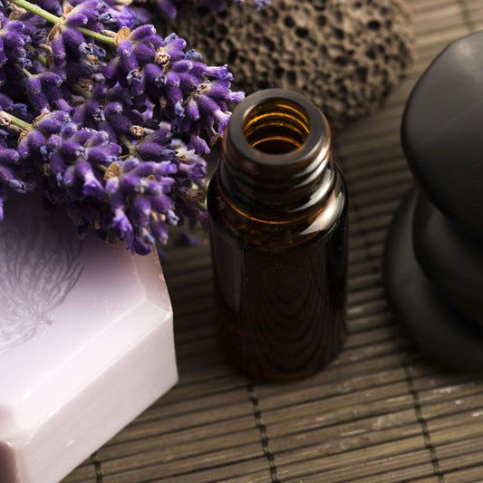 Black Amber & Lavender Fragrance Oil