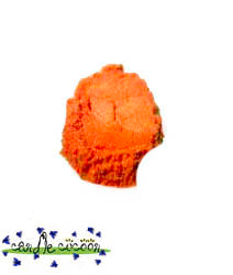 Butterfly Weed Orange  - Mica Powder - NEW!