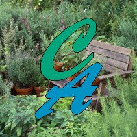 Basil and rosemary in a botanical garden