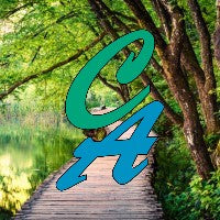 Forest Escape Clean Fragrance Oil