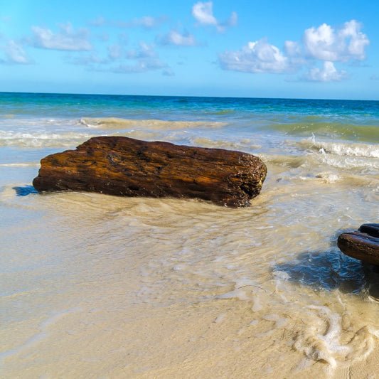 Caribbean Teakwood - Fragrance Oil - Coming Soon!