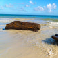 Caribbean Teakwood - Fragrance Oil - Coming Soon!