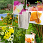 Overlapping collage of 10 nature-inspired images including a garden bench among herbs, a bouquet of pink and white peonies, honeycomb with a wooden dipper, an orange grove under blue skies, white linens drying on a clothesline, yellow daffodils and daisies, tropical green foliage, a forest boardwalk beside water, and two fruity beverages — one with melon balls and one with raspberries and lemon slices