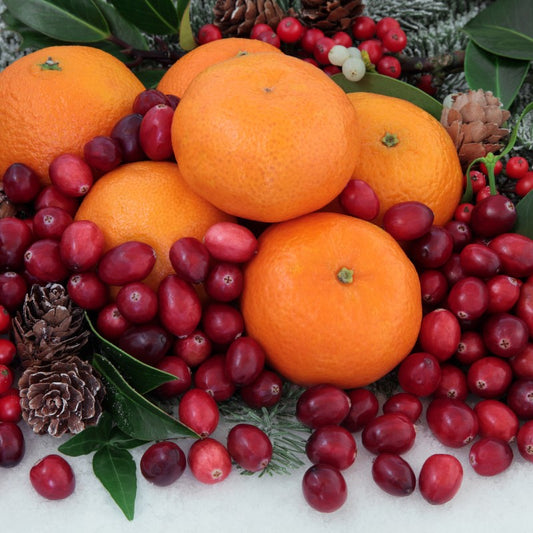 Cranberries and orange citrus with pine cones representing cranberry citrus fragrance oil