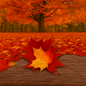Two autumn maple leaves — one golden yellow, one deep red — resting on weathered wood beneath a stately maple tree, evoking the warmth and nostalgia of Fallen Leaf fragrance oil.