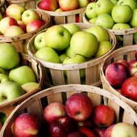Farmstand Apple fragrance oil apples