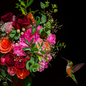 Vibrant bouquet of roses, peonies, and freesia with lush greenery, set against a dark backdrop. A hummingbird hovers in the corner, poised like a conductor leading a fragrant symphony — echoing the floral notes of this elegant fragrance oil