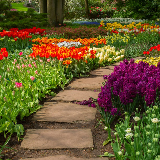 Fresh Garden Air Fragrance Oil