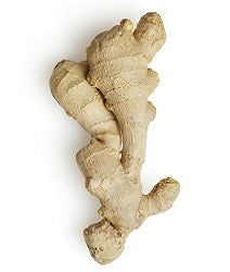 Ginger rhizome