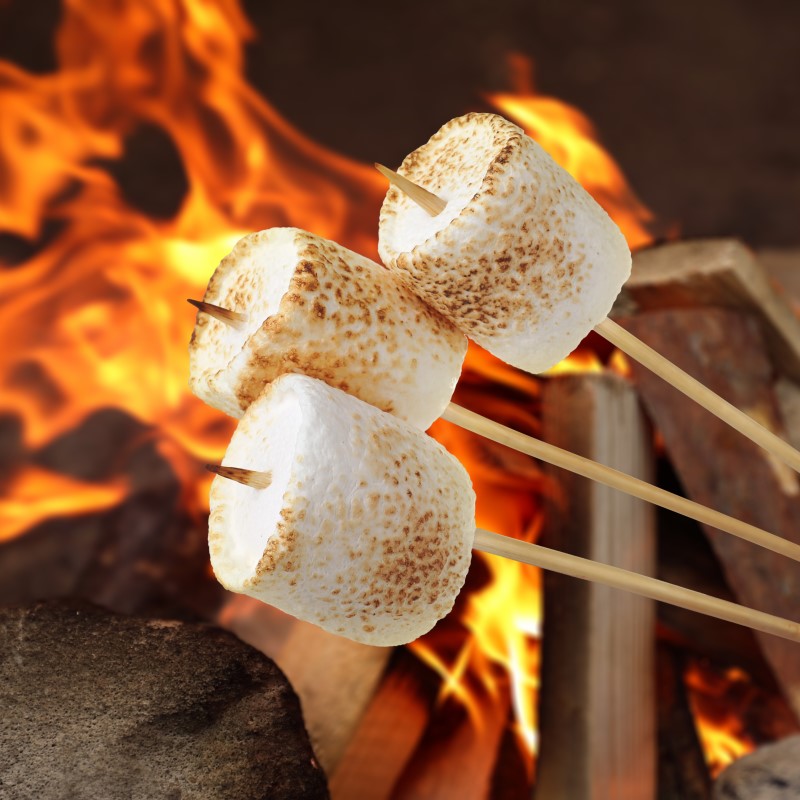 Three marshmallows on sticks over a campfire to represent the fragrance oil Gooey Marshmallow