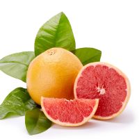 Grapefruit citrus rose jasmine fragrance oil