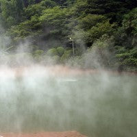 Steam rising from a hot spring with greenery in the background