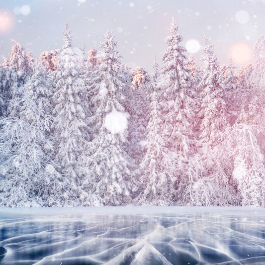 Iced Vanilla Woods - Fragrance Oil - Coming Soon!