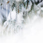 Icicles and Evergreen Fragrance Oil