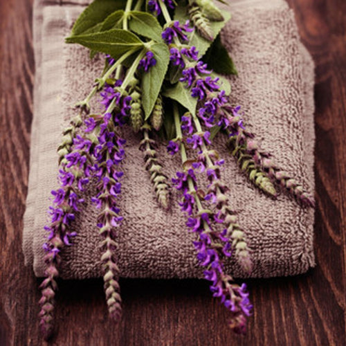 Lavender Sage fruity floral jasmine rose fragrance oil