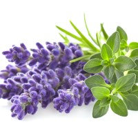 Lavender and Thyme