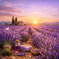 Collections of lavender items that include a field of lavender, a bunch of lavender, soap safe fragrances.