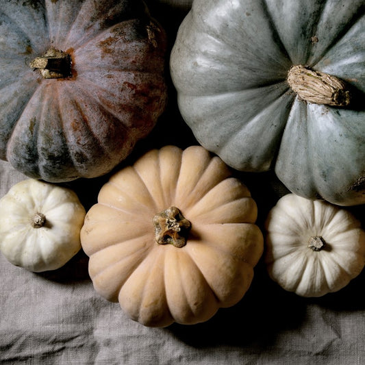 Different colored pumpkins in mahogany, green and orange