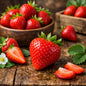 Fresh red strawberries arranged on a rustic wooden surface, with a whole strawberry in the center, sliced pieces, green leaves, a small white flower, and bowls of strawberries in the background. Gives the feel for Mouth Watering Strawberry Fragrance Oil