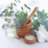 Peppermint oil and eucalyptus plant