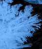 Newsflash - Ice Crystals