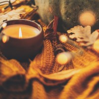 Spiced Pumpkin Patchouli - Fragrance Oil - Coming Soon!