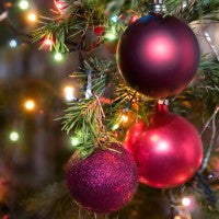 Decorative purple and red ornaments on a Christmas tree with blurred lights in the background to get the feels of Tis the Season fragrance oil